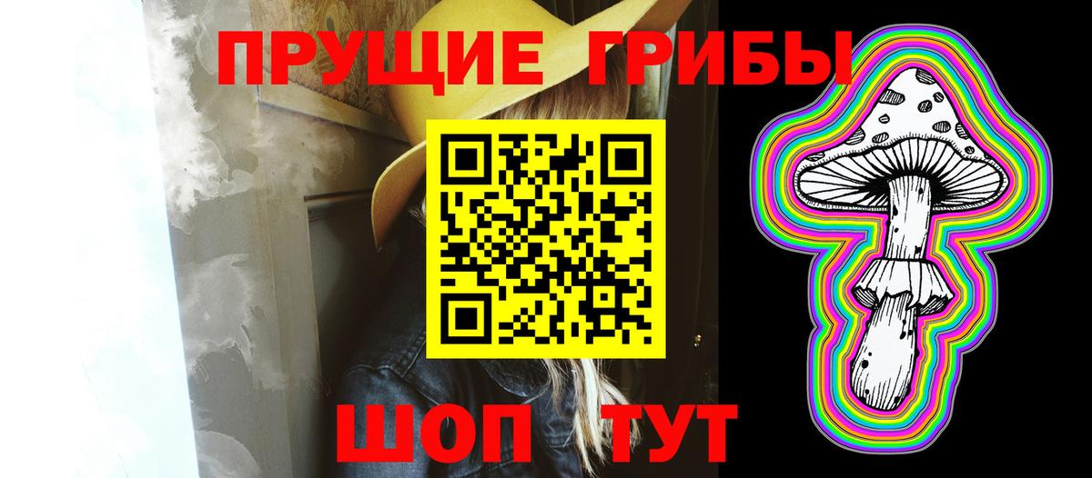 Галлюциногенные грибы MAGIC MUSHROOMS  Вход с VPN  Галлюциногенные грибы MAGIC MUSHROOMS  Всеволожск 