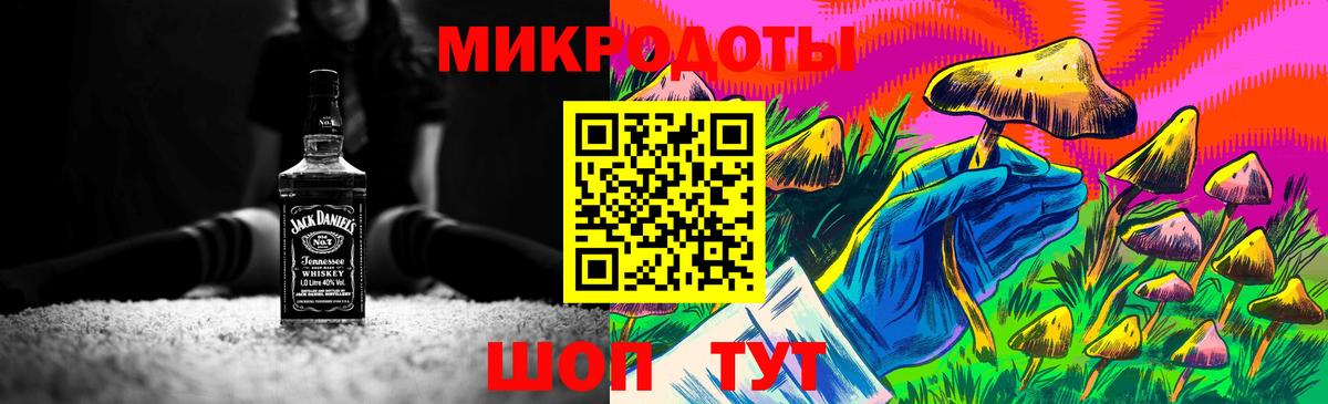 Галлюциногенные грибы Psilocybine cubensis Всеволожск